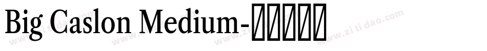 Big Caslon Medium字体转换